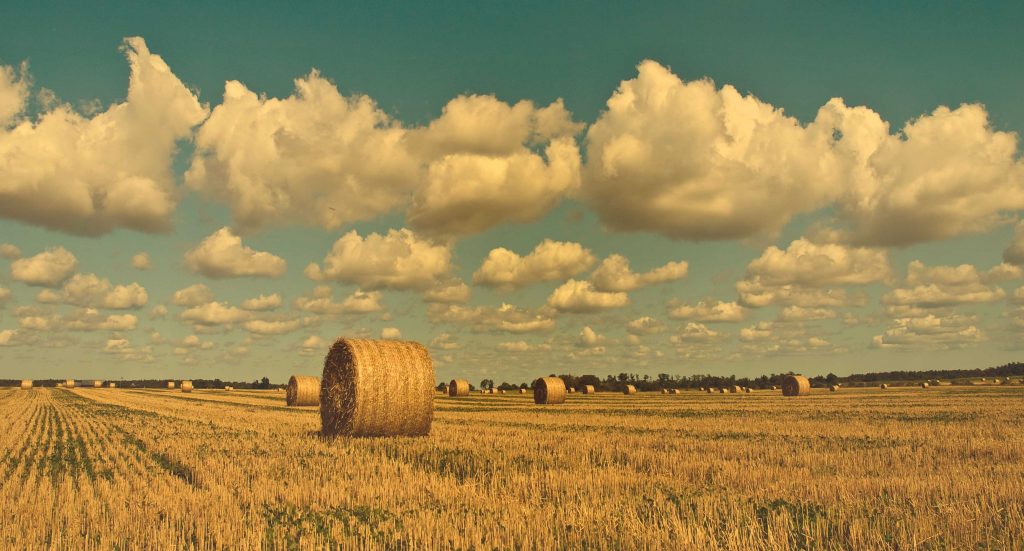 We work with farmers that we trust